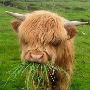 Meet your Posher, Regina